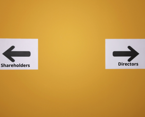 Difference between a Shareholder and a Director